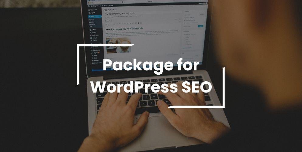 Increase Your Rankings with WordPress SEO Services Packages